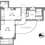 1DK：ルーフテラスの有る希少物件(間取)