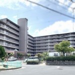 (外観) (外観)