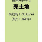 ※建築条件無し売土地(間取)