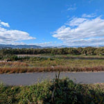 ※裏手に流れる桂川(周辺)