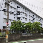 1号棟 1号棟